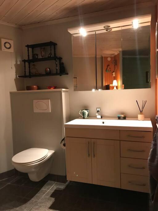Charming Studio With Private Patio Stavanger Exteriér fotografie